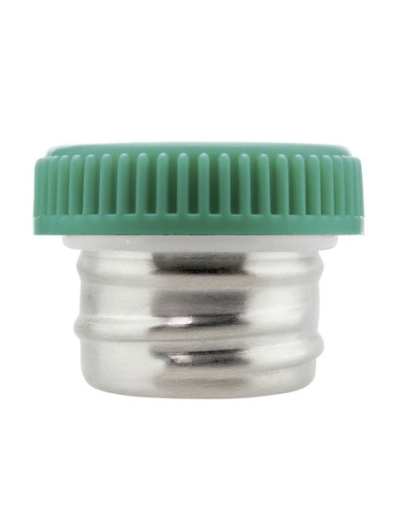 BASIC STEEL STAINLESS STEEL SCREW AND PLASTIC CAP
